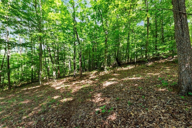 612 Peters Creek Dr, Stuart, VA 24171 - view of woods