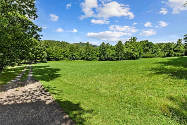 612 Peters Creek Dr, Stuart, VA 24171 - view of green lawn featuring a forest view