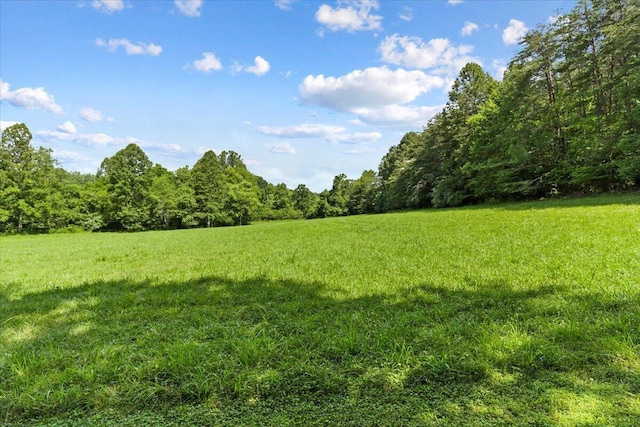 612 Peters Creek Dr, Stuart, VA 24171 - view of green lawn featuring a forest view