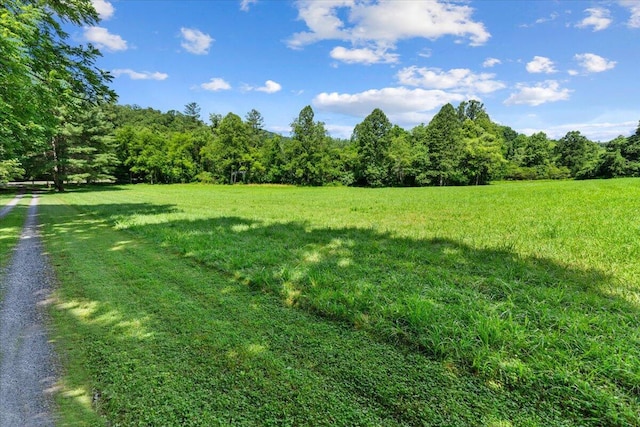 612 Peters Creek Dr, Stuart, VA 24171 - view of yard with a view of trees