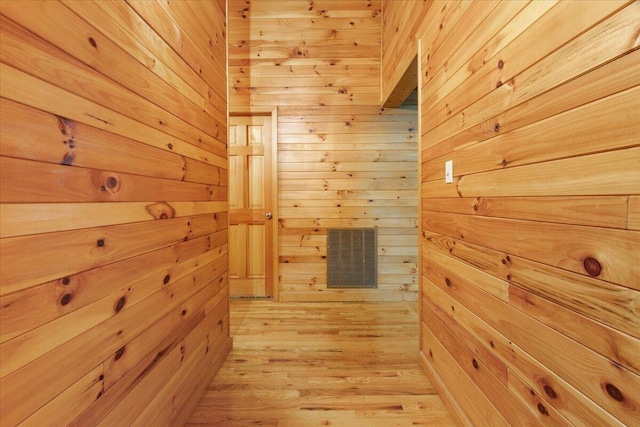 612 Peters Creek Dr, Stuart, VA 24171 - hallway with wood walls and light wood-type flooring