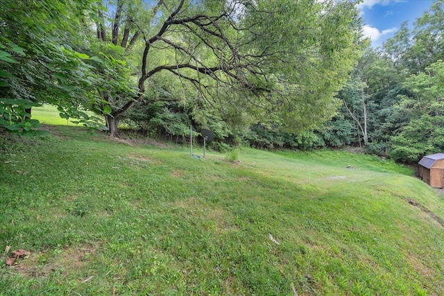 496 Boyd St, Buchanan, VA 24066 - view of grassy yard with a storage unit
