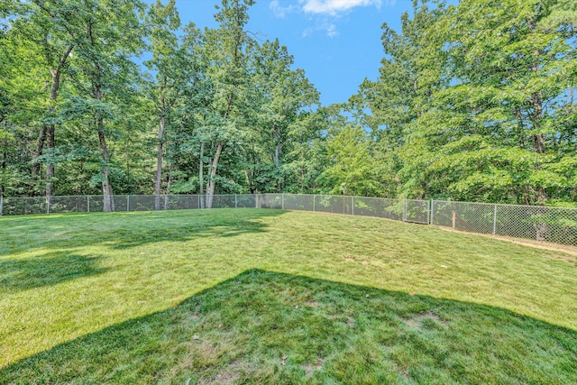 134 Sawyer Dr, Salem, VA 24153 - view of yard