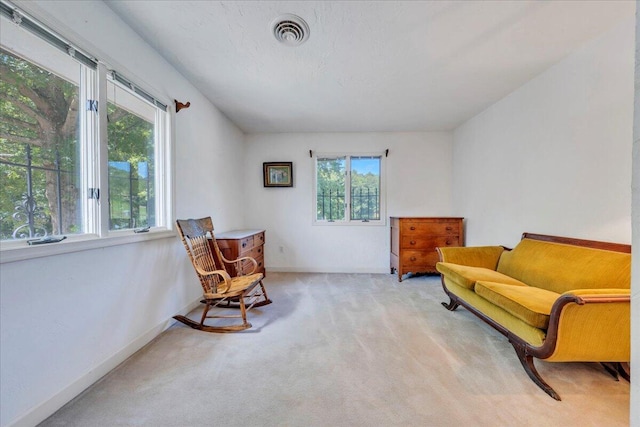 5880 Sugar Loaf Mountain Rd, Roanoke, VA 24018 - living area featuring carpet flooring and baseboards
