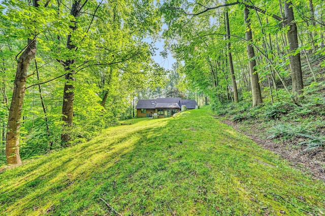 8757 Bent Mountain Rd, Roanoke, VA 24018 - view of green lawn featuring a view of trees