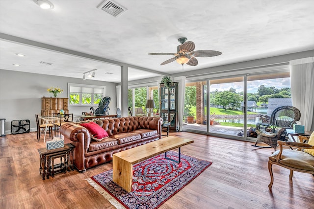 30 Island Green Cir Unit 22, Penhook, VA 24137 - living room with ceiling fan and wood finished floors