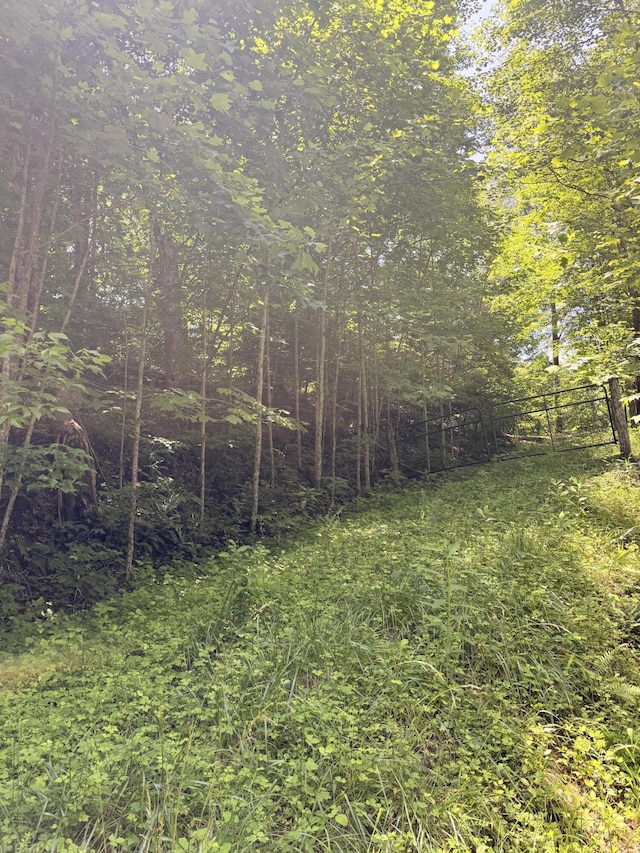 0 Patterson Trl, Eagle Rock, VA 24085
