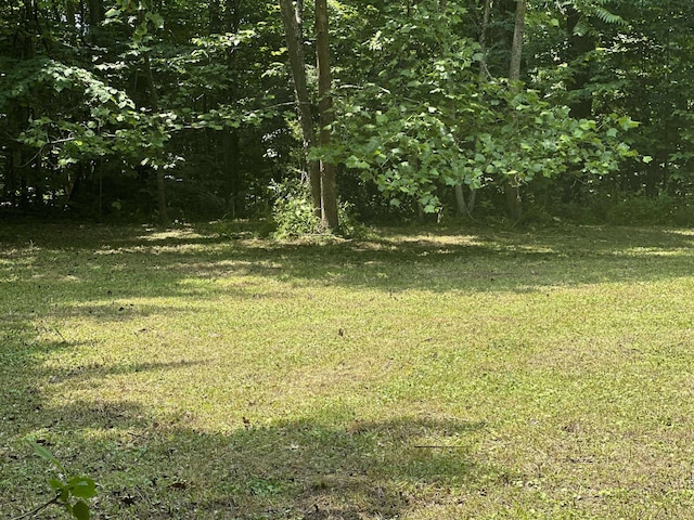 0 Patterson Trl, Eagle Rock, VA 24085