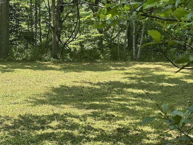 0 Patterson Trl, Eagle Rock, VA 24085