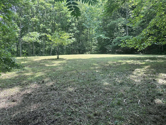 0 Patterson Trl, Eagle Rock, VA 24085