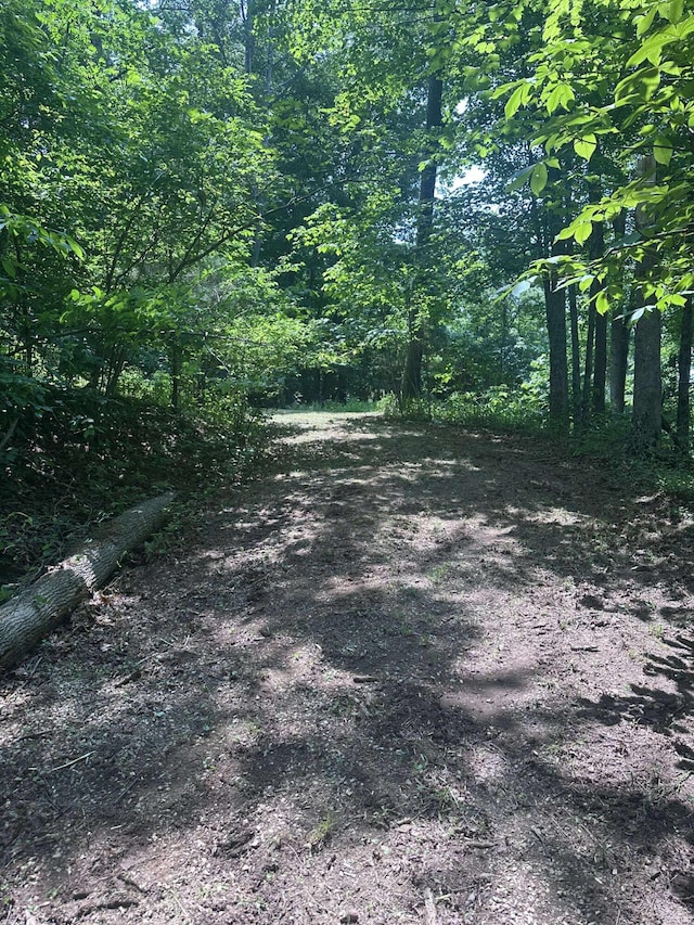 0 Patterson Trl, Eagle Rock, VA 24085