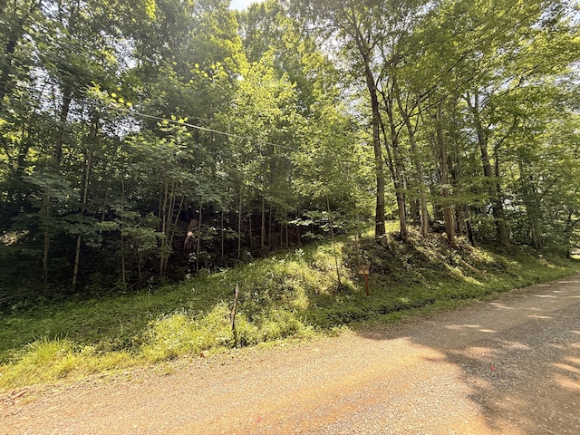 0 Patterson Trl, Eagle Rock, VA 24085