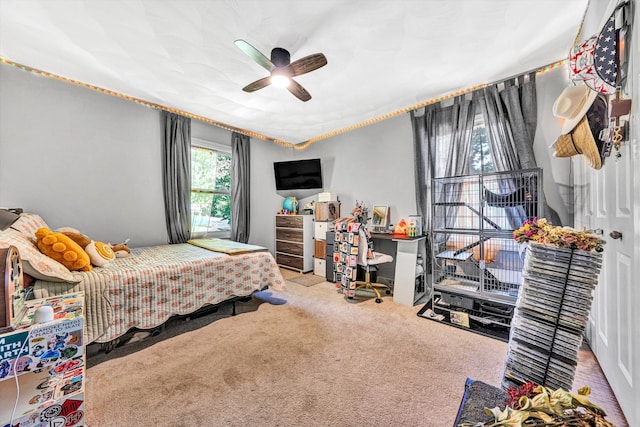 2343 Circle Dr SW, Roanoke, VA 24018 - bedroom featuring carpet and ceiling fan