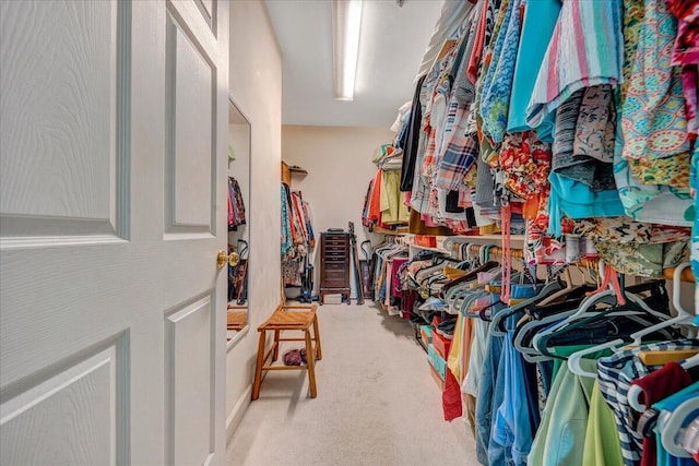 3040 Mcvitty Forest Dr Unit 211, Roanoke, VA 24018 - walk in closet with carpet floors