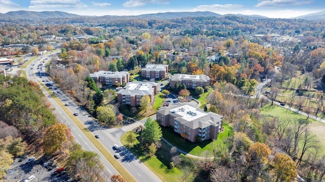3040 Mcvitty Forest Dr Unit 211, Roanoke, VA 24018 - view of property location with mountains