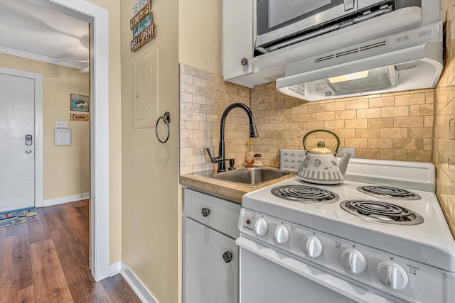1085 Bluewater Dr Unit 220, Moneta, VA 24121 - kitchen with electric range, crown molding, extractor fan, decorative backsplash, and white cabinetry