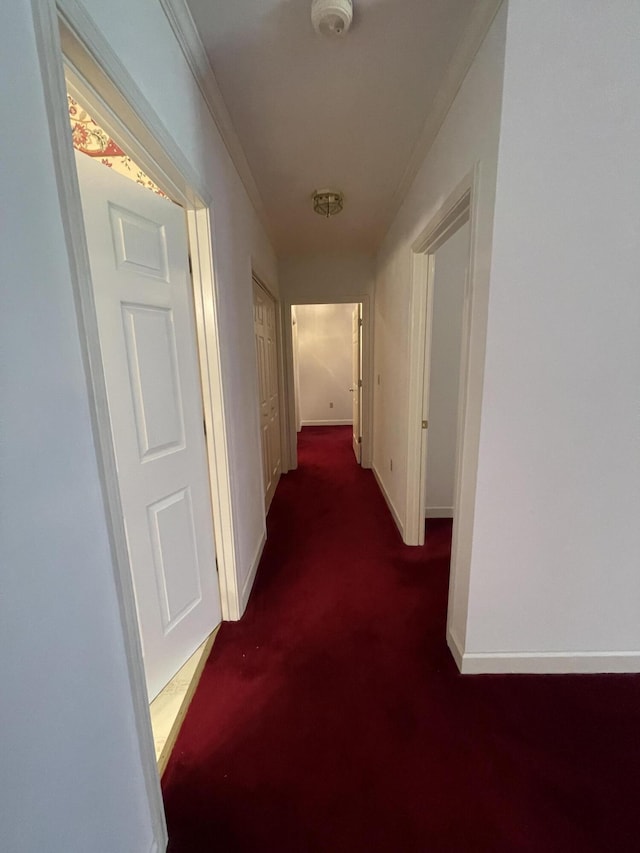 4845 Glen Ivy Ln SW Unit 209, Roanoke, VA 24018 - hallway featuring baseboards and carpet floors
