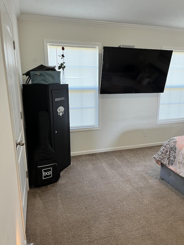 1148 Chapel View Ln, Goodview, VA 24095 - detailed view of carpet and ornamental molding