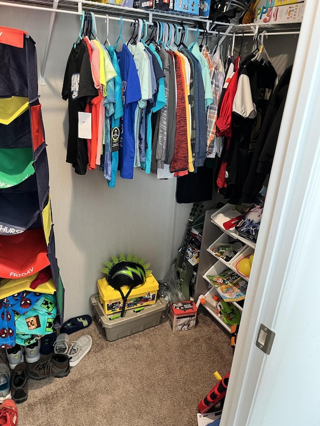 1148 Chapel View Ln, Goodview, VA 24095 - walk in closet featuring carpet flooring