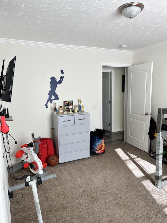 1148 Chapel View Ln, Goodview, VA 24095 - misc room with carpet, ornamental molding, and a textured ceiling