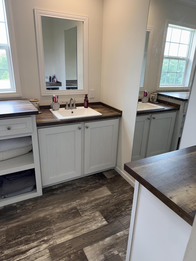1148 Chapel View Ln, Goodview, VA 24095 - bathroom with two vanities, healthy amount of natural light, and wood finished floors