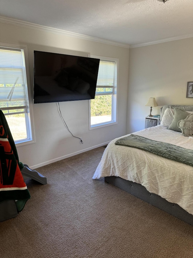 1148 Chapel View Ln, Goodview, VA 24095 - carpeted bedroom with ornamental molding, multiple windows, and a textured ceiling