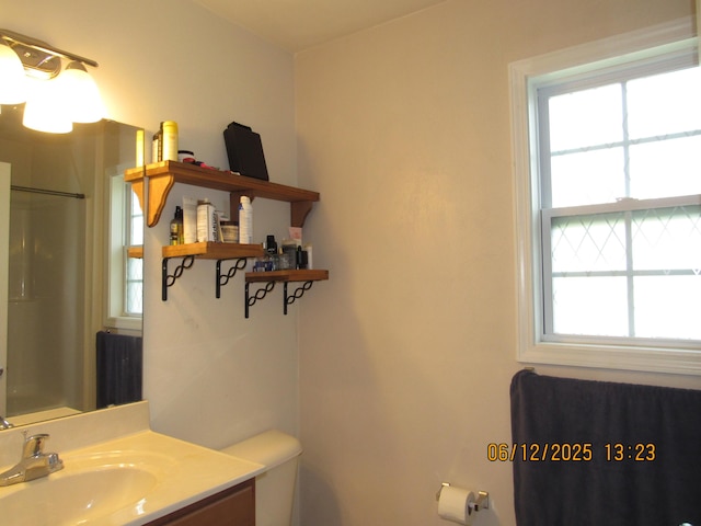 5605 Prunty Dr, Salem, VA 24153 - bathroom featuring plenty of natural light, vanity, and a shower