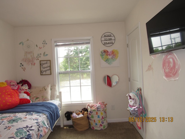 5605 Prunty Dr, Salem, VA 24153 - carpeted bedroom with multiple windows