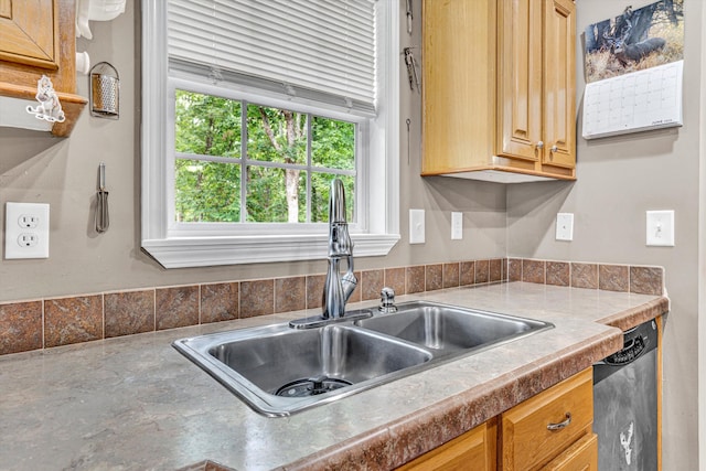 1060 Marble Creek Ct, Lynch Station, VA 24571 - kitchen with a sink and stainless steel dishwasher