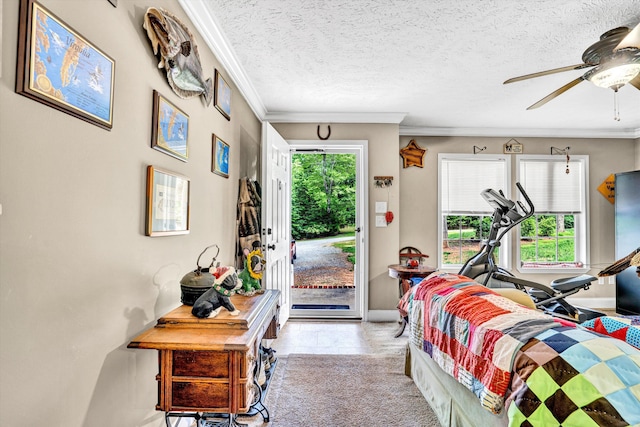 1060 Marble Creek Ct, Lynch Station, VA 24571 - living area with crown molding and a ceiling fan