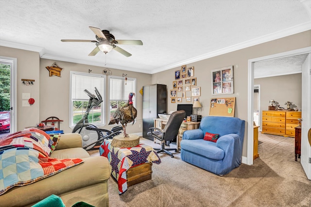 1060 Marble Creek Ct, Lynch Station, VA 24571 - carpeted living room with ceiling fan, a textured ceiling, ornamental molding, and an office area