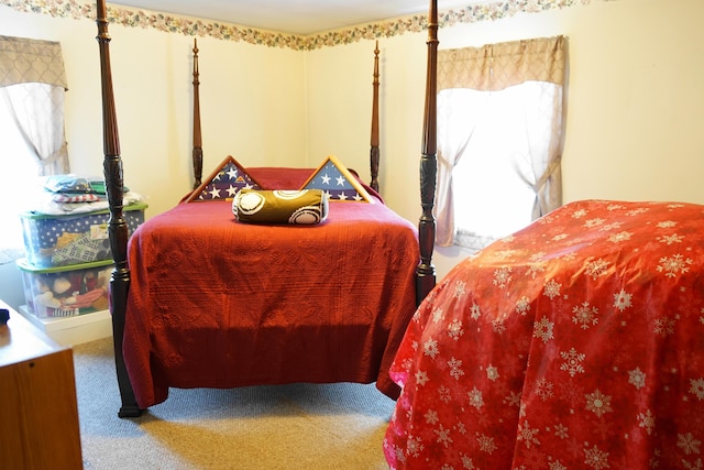 520 S Poplar St, Vinton, VA 24179 - view of carpeted bedroom