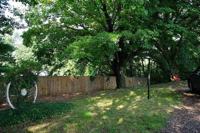 520 S Poplar St, Vinton, VA 24179 - view of yard
