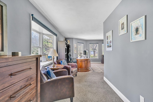 10610 Slings Gap Rd, Bent Mountain, VA 24059 - living area featuring carpet floors and baseboards