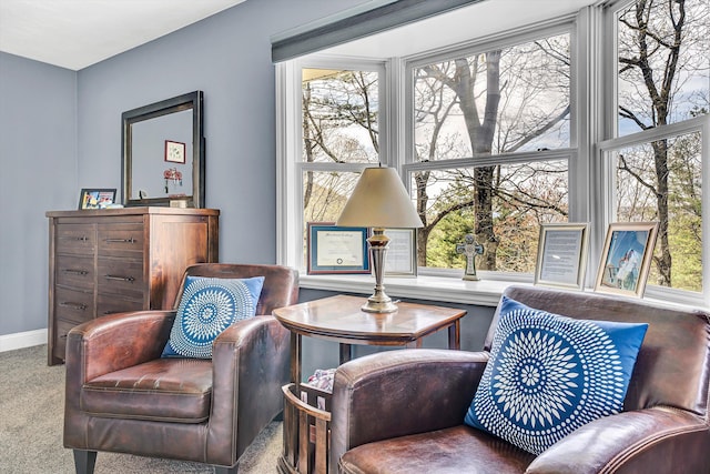 10610 Slings Gap Rd, Bent Mountain, VA 24059 - sitting room featuring plenty of natural light