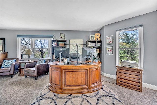 10610 Slings Gap Rd, Bent Mountain, VA 24059 - home office with healthy amount of natural light and light carpet