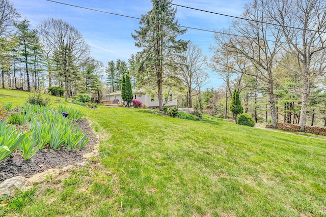 10610 Slings Gap Rd, Bent Mountain, VA 24059 - view of grassy yard