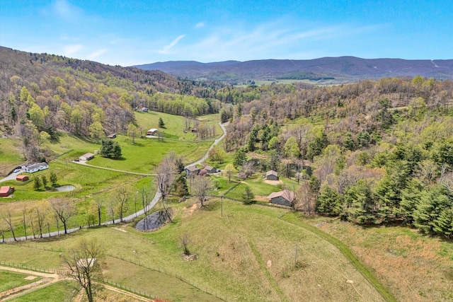 10610 Slings Gap Rd, Bent Mountain, VA 24059 - view of property location with a mountainous background and rural landscape