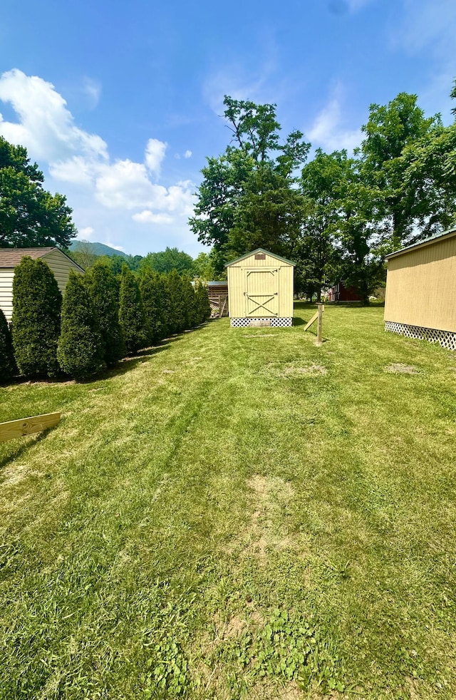 418 Marshall Ave, New Castle, VA 24127 - view of green lawn with a storage shed