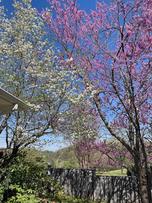 3210 Orchard Hill Rd SW, Roanoke, VA 24018 - water view