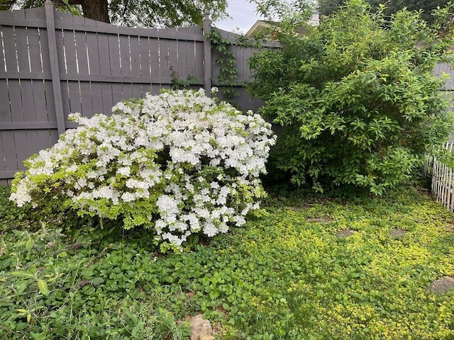 3210 Orchard Hill Rd SW, Roanoke, VA 24018 - view of yard
