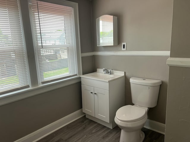 115 E Walnut St, Covington, VA 24426 - bathroom with wood finished floors, vanity, plenty of natural light, and a wainscoted wall