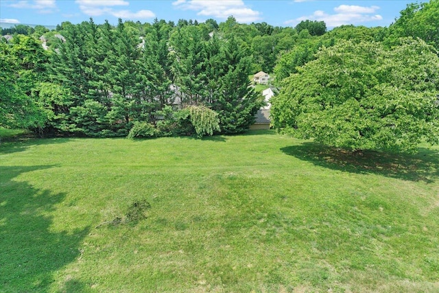 21 Upland Dr, Salem, VA 24153 - view of grassy yard