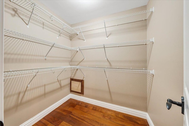 223 Moonriver Ln, Moneta, VA 24121 - walk in closet with wood finished floors