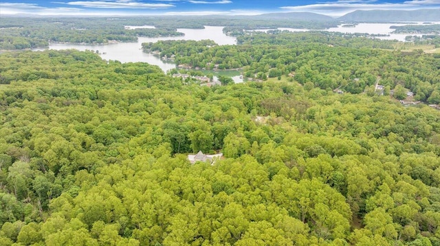 223 Moonriver Ln, Moneta, VA 24121 - drone / aerial view of a forest and a water and mountain view