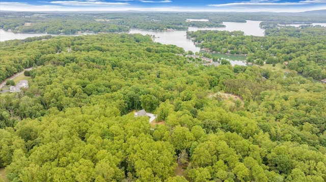 223 Moonriver Ln, Moneta, VA 24121 - drone / aerial view of a forest and a nearby body of water