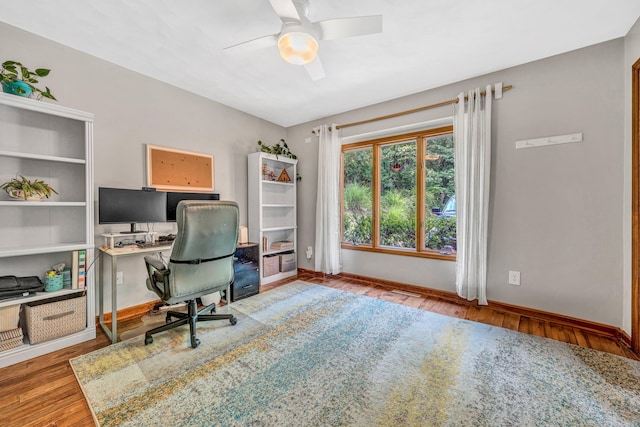 7102 Crown Rd, Roanoke, VA 24018 - office space featuring wood finished floors and ceiling fan