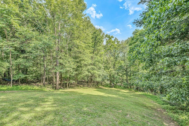 7102 Crown Rd, Roanoke, VA 24018 - view of green lawn with a wooded view