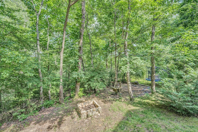 7102 Crown Rd, Roanoke, VA 24018 - view of tree filled area