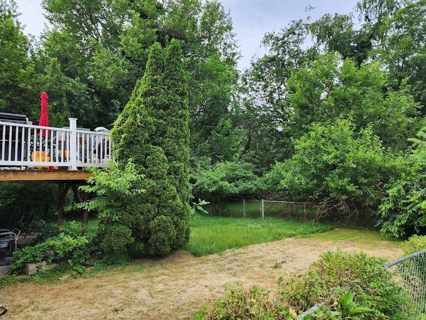 3038 Cove Rd NW, Roanoke, VA 24017 - view of yard with a wooden deck